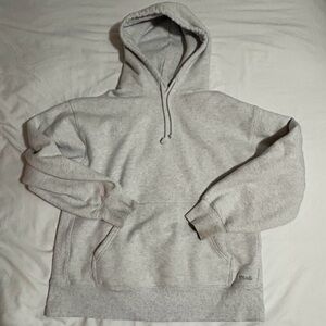 Aritzia Gray Hoodie